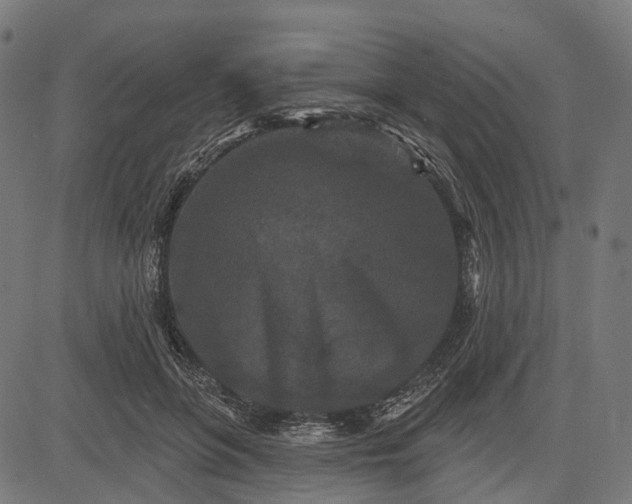 X0000082710551200702091750