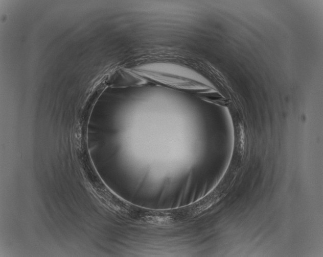 X0000082710552200702091750