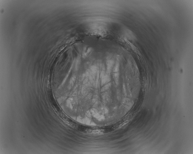 X0000082710553200702091750