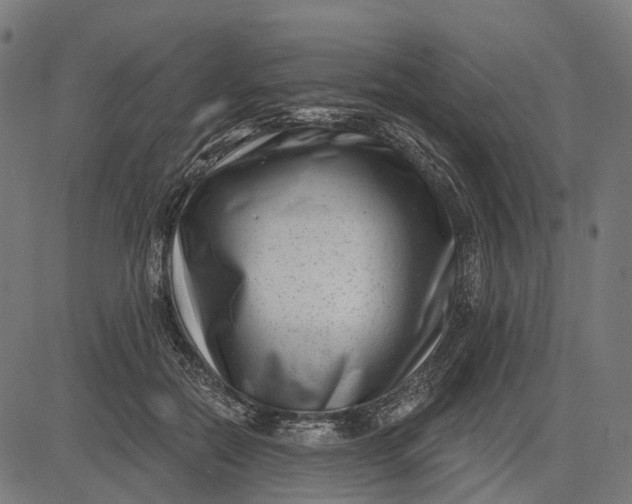 X0000082710554200702091750