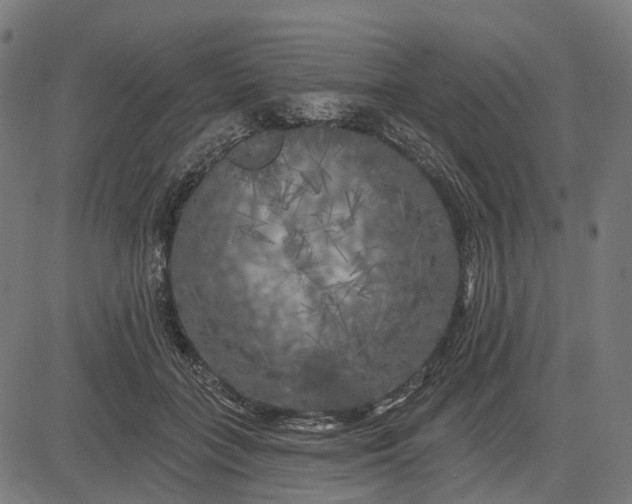 X0000082710555200702091750