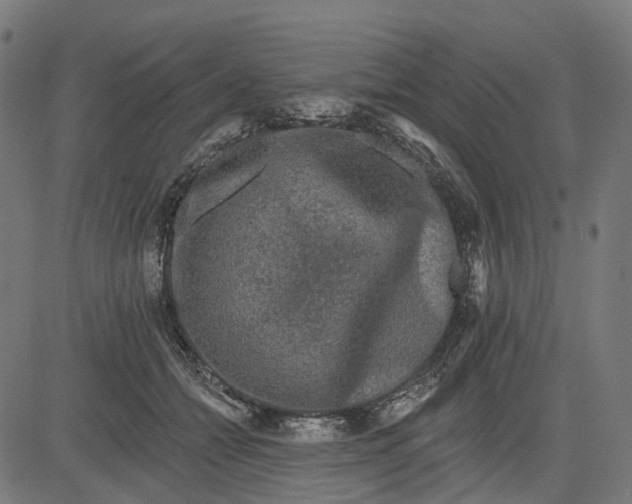 X0000082710558200702091750