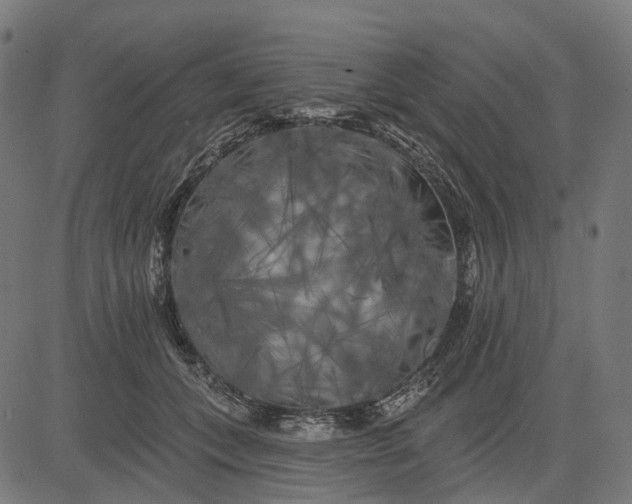 X0000082710559200702091750