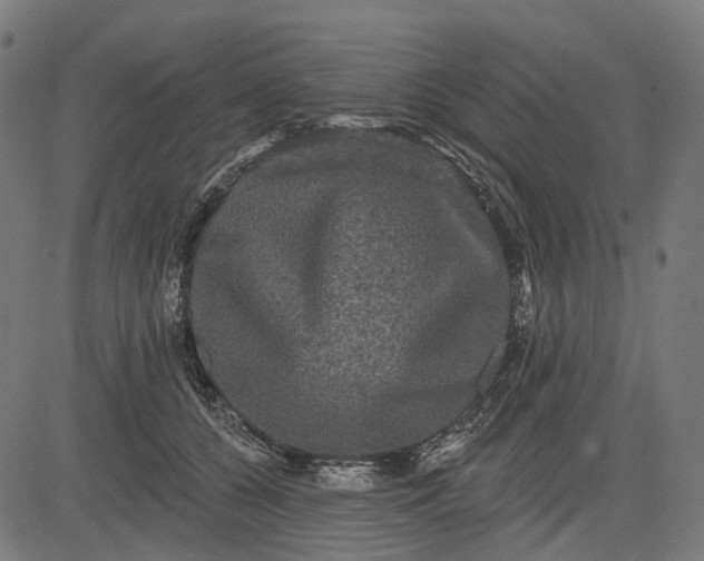 X0000082710560200702091750