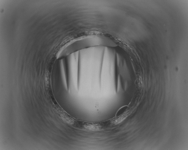 X0000082710561200702091750