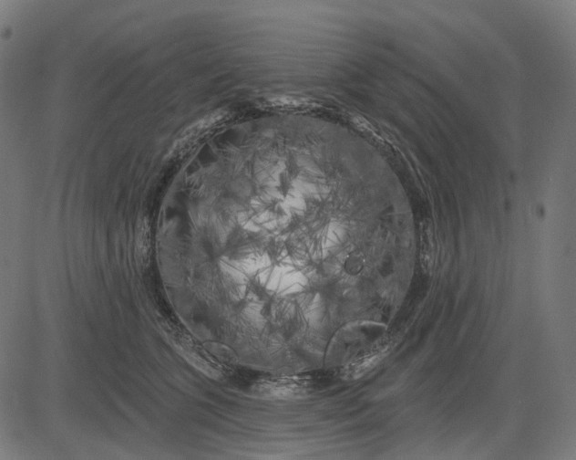 X0000082710563200702091750