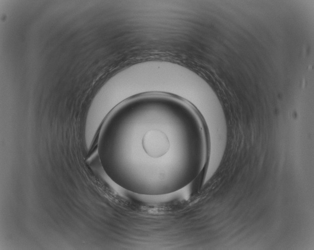 X0000082710564200702091750