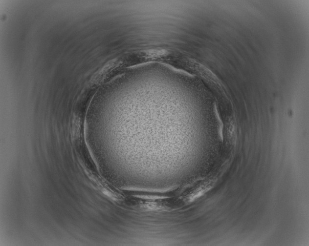 X0000082710565200702091750