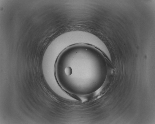 X0000082710566200702091750