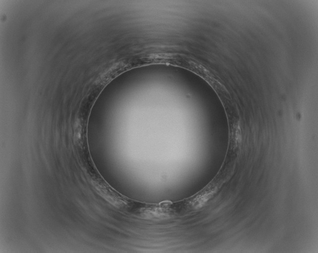 X0000082710567200702091750