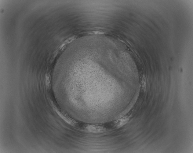 X0000082710568200702091750