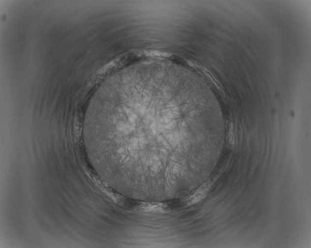 X0000082710569200702091750