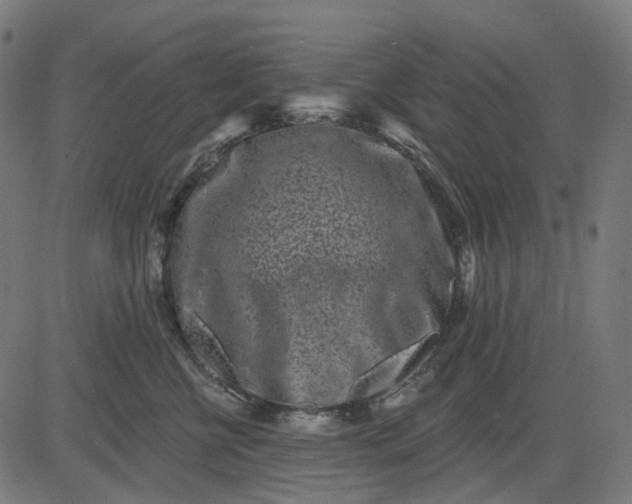 X0000082710570200702091750