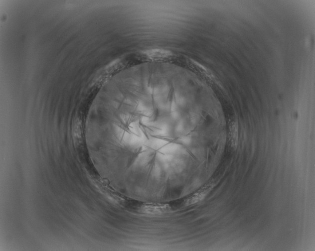 X0000082710571200702091750