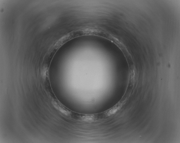 X0000082710574200702091750