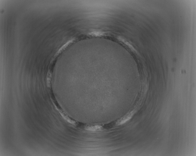 X0000082710576200702091750