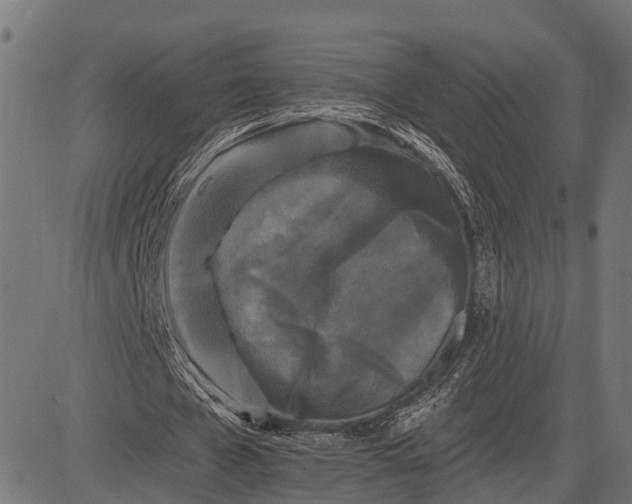 X0000082710577200702091750