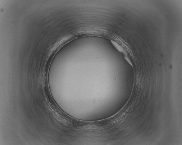 X0000082710578200702091750