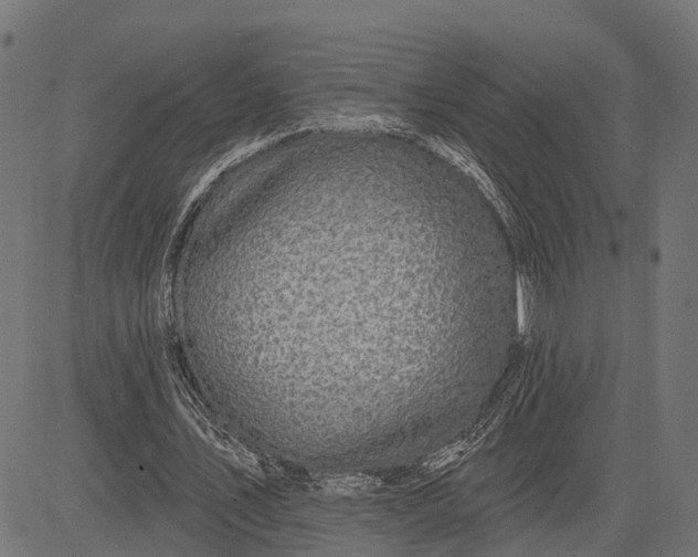 X0000082710579200702091750