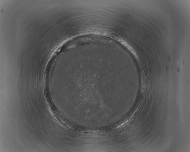 X0000082710580200702091750