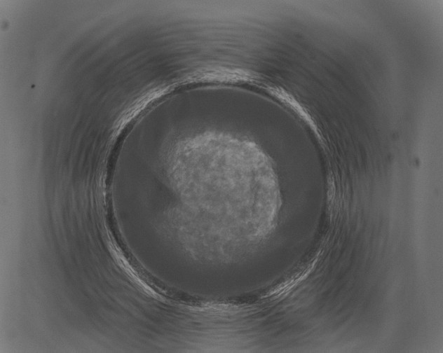 X0000082710581200702091750