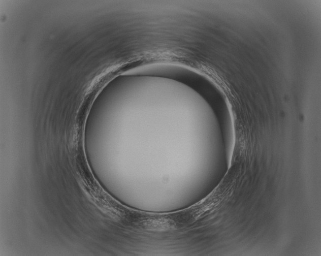 X0000082710583200702091750