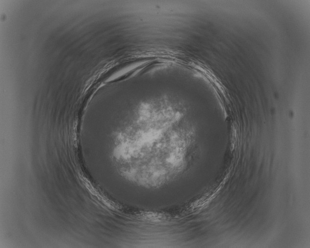 X0000082710585200702091750