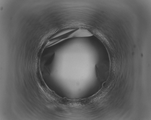 X0000082710586200702091749