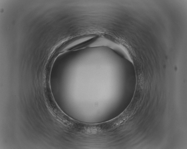 X0000082710587200702091749