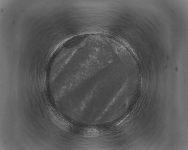 X0000082710588200702091749