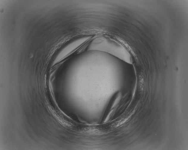 X0000082710589200702091749