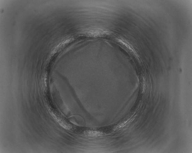 X0000082710590200702091749