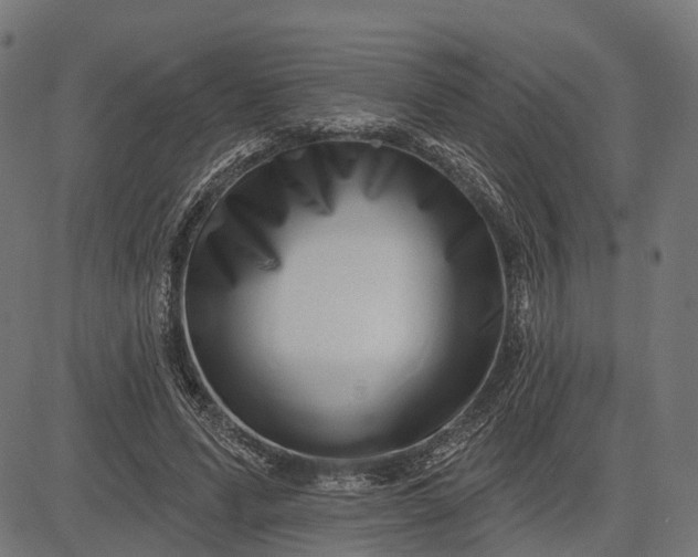 X0000082710591200702091749