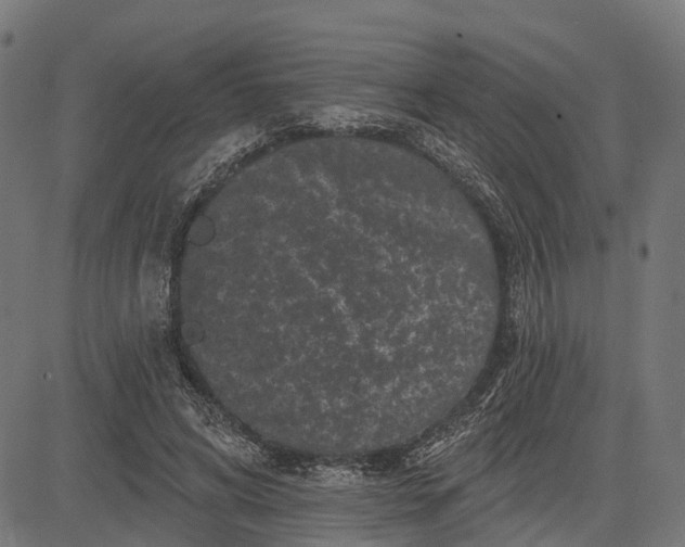 X0000082710592200702091749