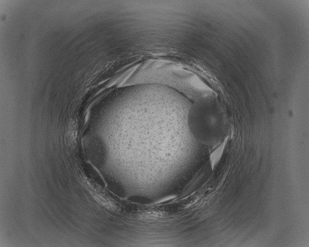 X0000082710593200702091749