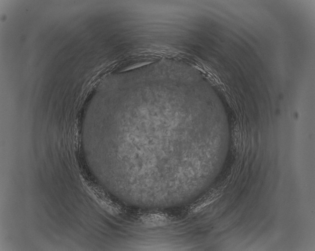 X0000082710594200702091749