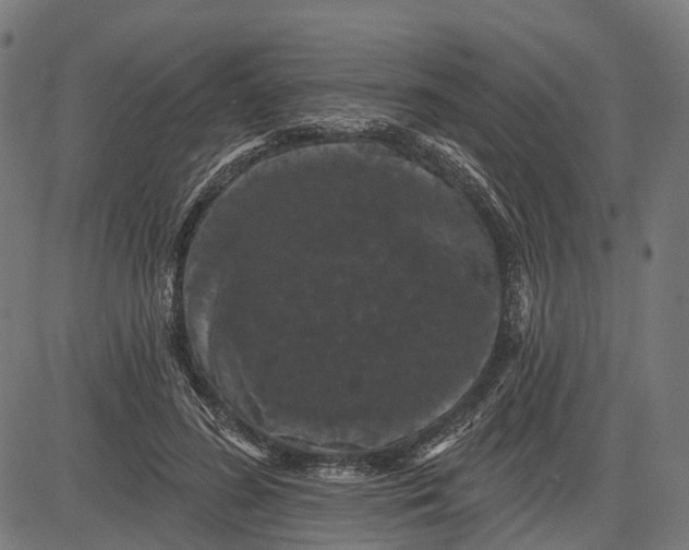 X0000082710596200702091749