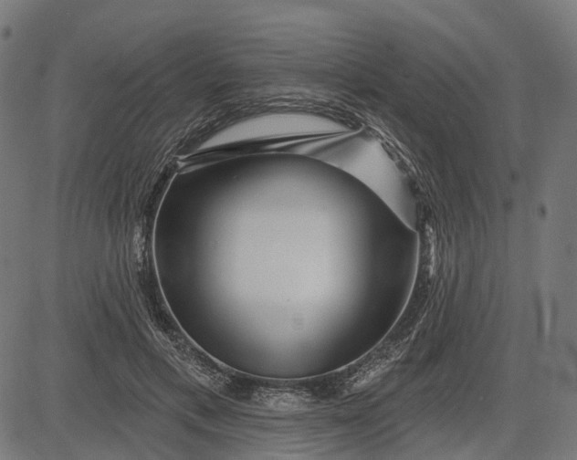 X0000082710597200702091749