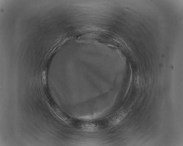 X0000082710598200702091749