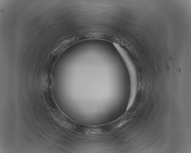 X0000082710599200702091749