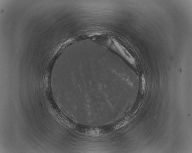 X0000082710600200702091749