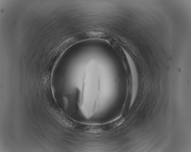 X0000082710601200702091749