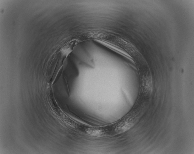 X0000082710602200702091749