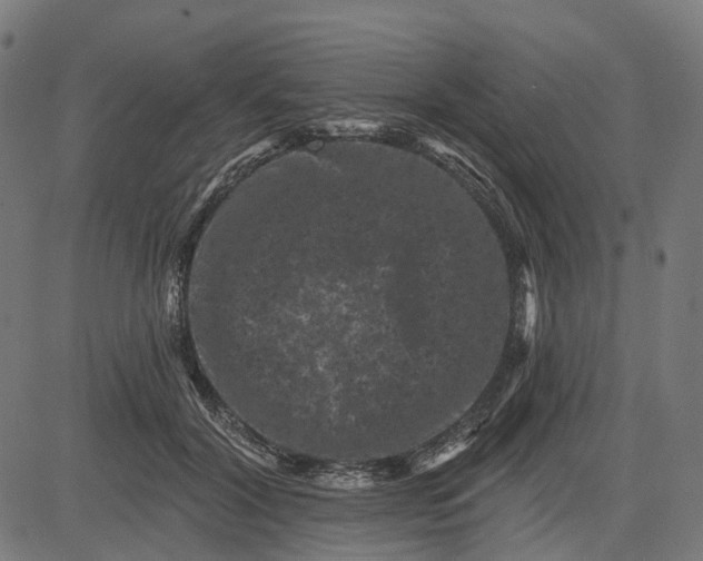 X0000082710604200702091749