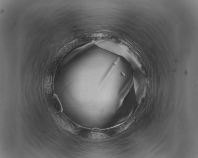 X0000082710605200702091749