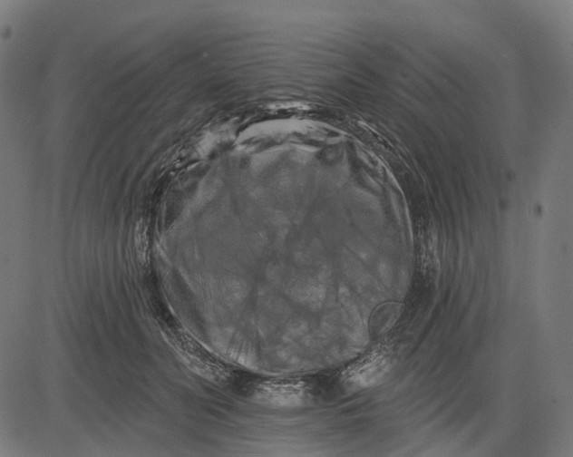 X0000082710606200702091749