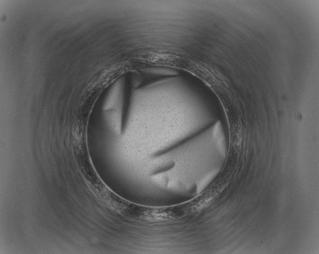 X0000082710607200702091749