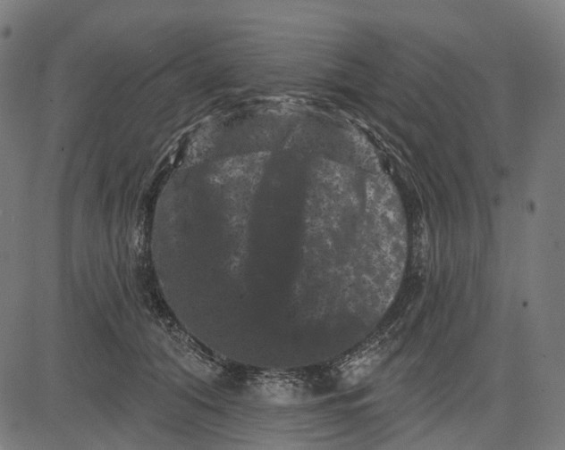 X0000082710608200702091749