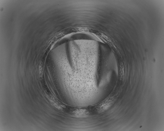 X0000082710609200702091749