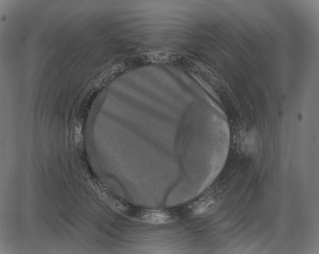 X0000082710610200702091749